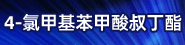 磐斯特 2026.3.1